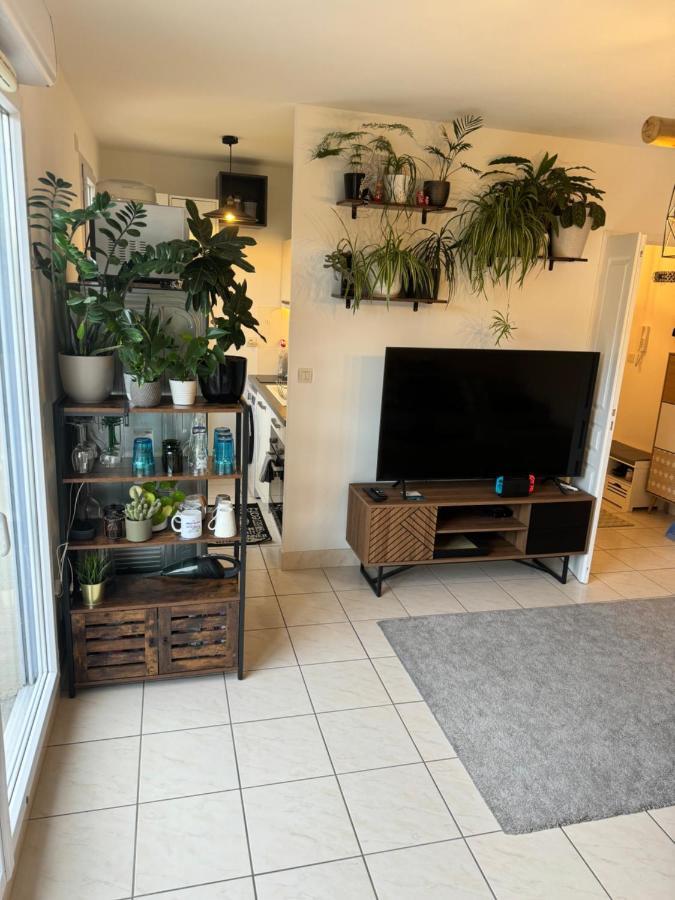 Appartement Centre Avec Balcon Parking Prive 奥尔良 外观 照片