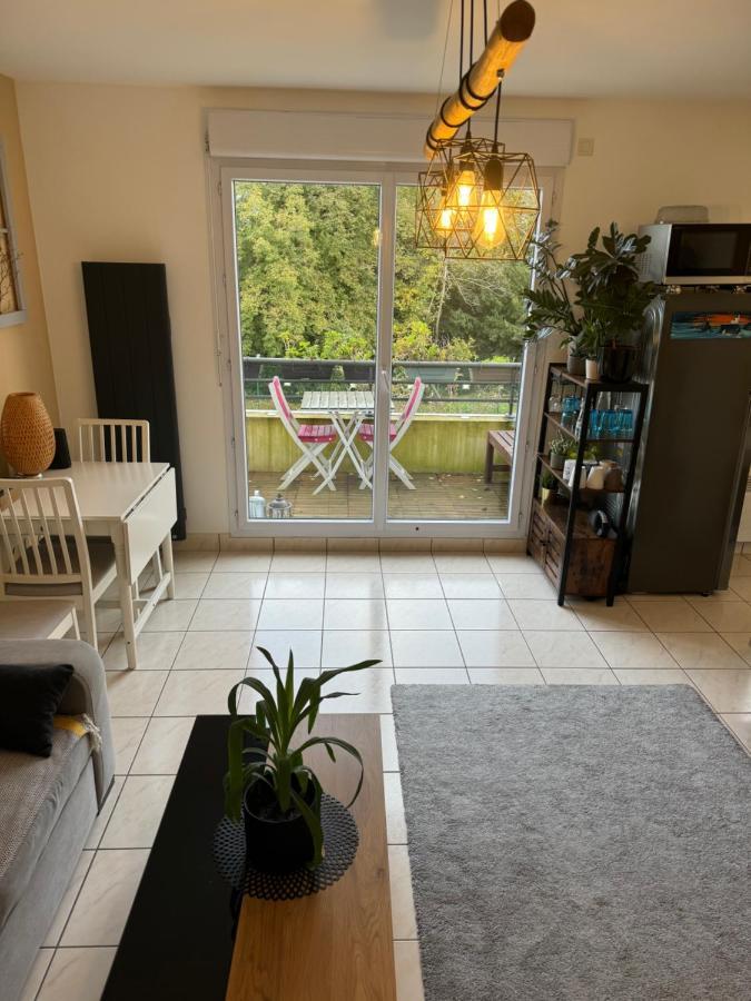 Appartement Centre Avec Balcon Parking Prive 奥尔良 外观 照片