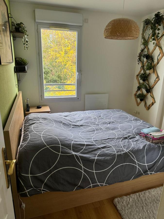 Appartement Centre Avec Balcon Parking Prive 奥尔良 外观 照片